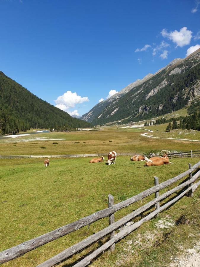 Haus Renswouw Hotel Hollersbach im Pinzgau Kültér fotó