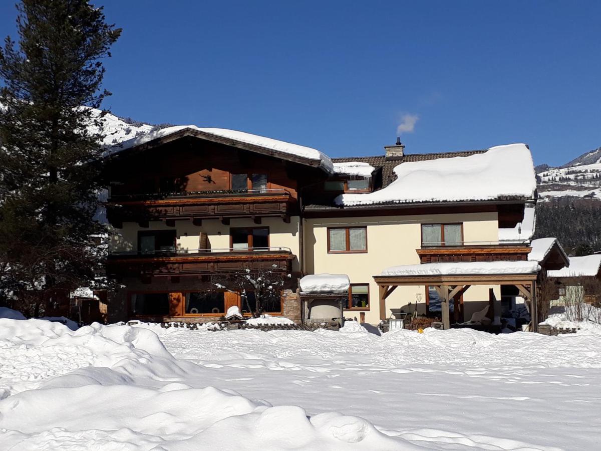 Haus Renswouw Hotel Hollersbach im Pinzgau Kültér fotó