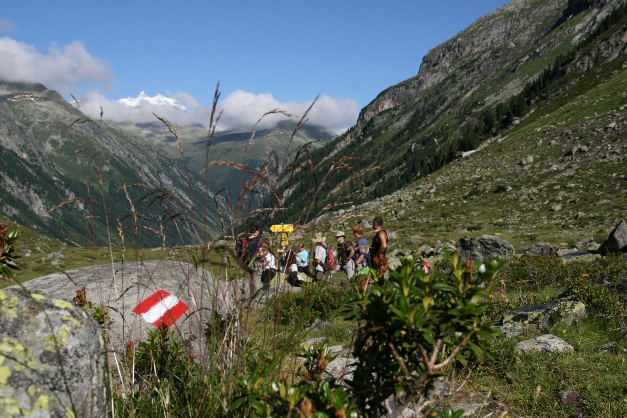 Haus Renswouw Hotel Hollersbach im Pinzgau Kültér fotó