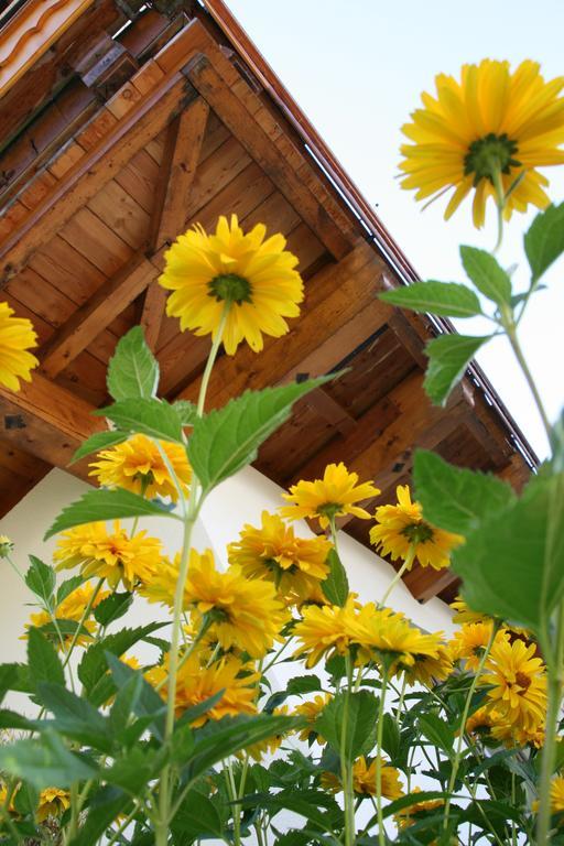 Haus Renswouw Hotel Hollersbach im Pinzgau Kültér fotó